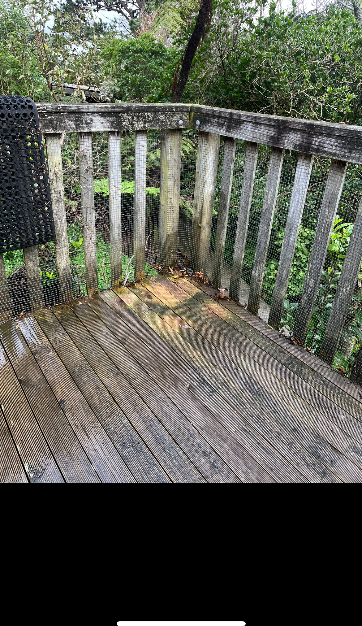 Weathered, grimy timber deck covered in green growth before cleaning