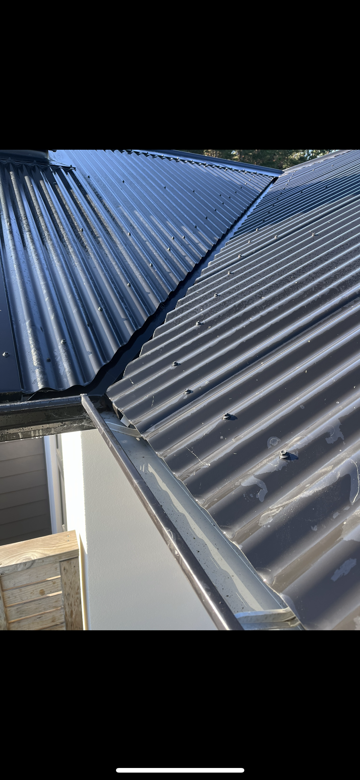 Freshly cleaned gutter and metal roof on a Wellington home after a TrueShine clean