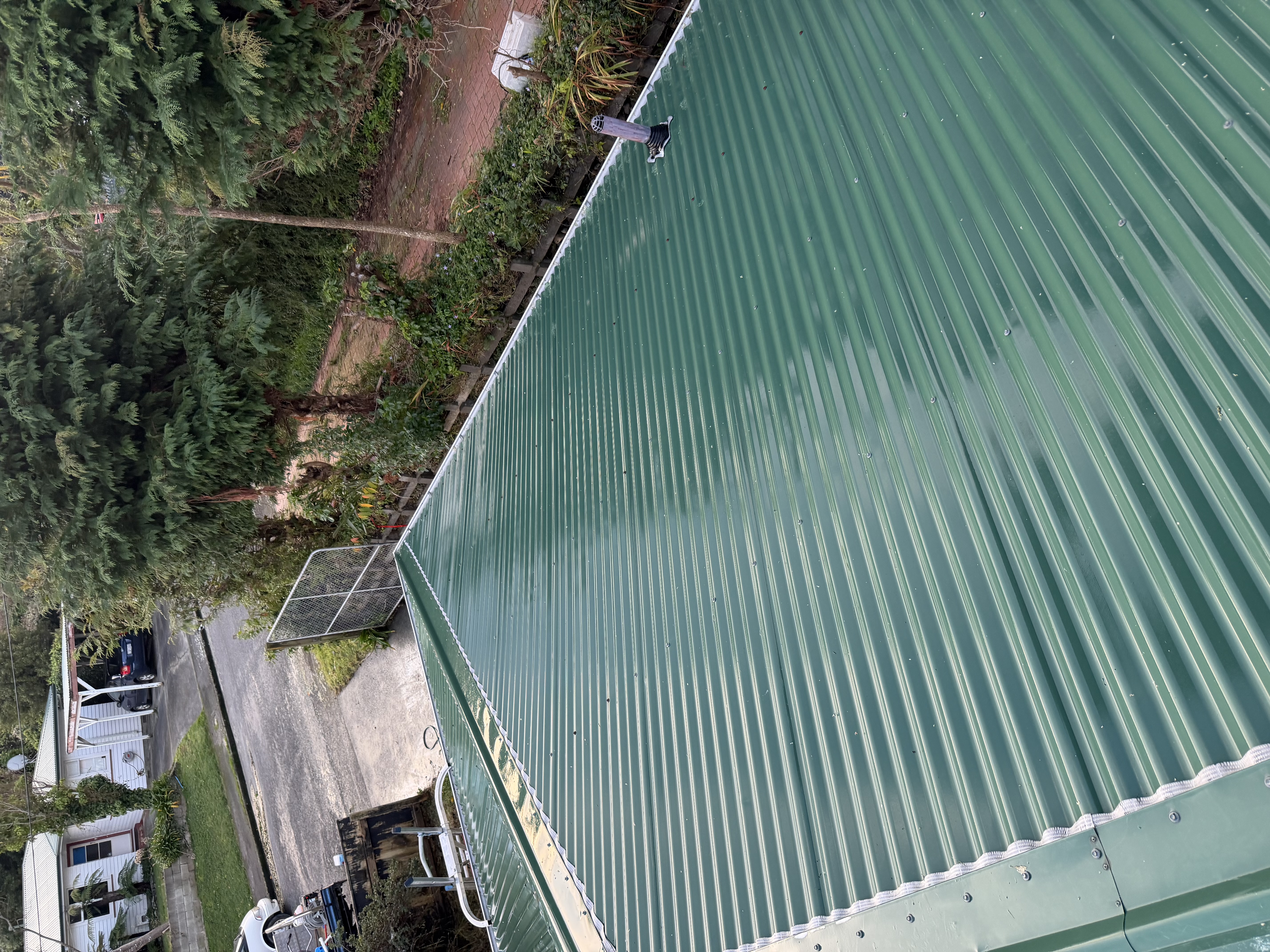 A freshly cleaned green corrugated metal roof on a Wellington home, free of moss and lichen