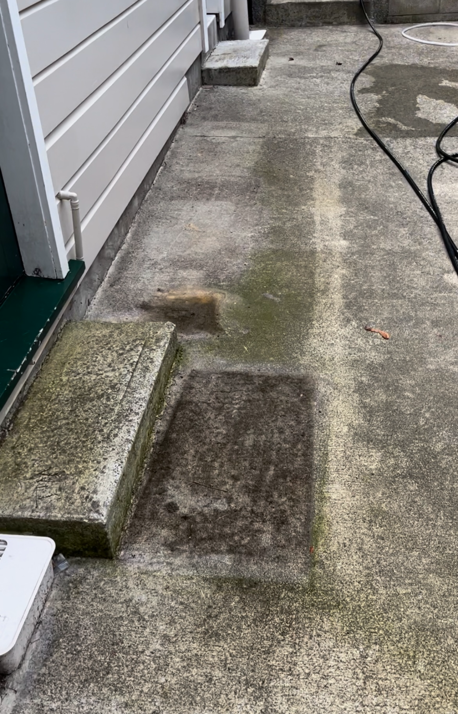 Concrete path covered in moss and grime before pressure washing