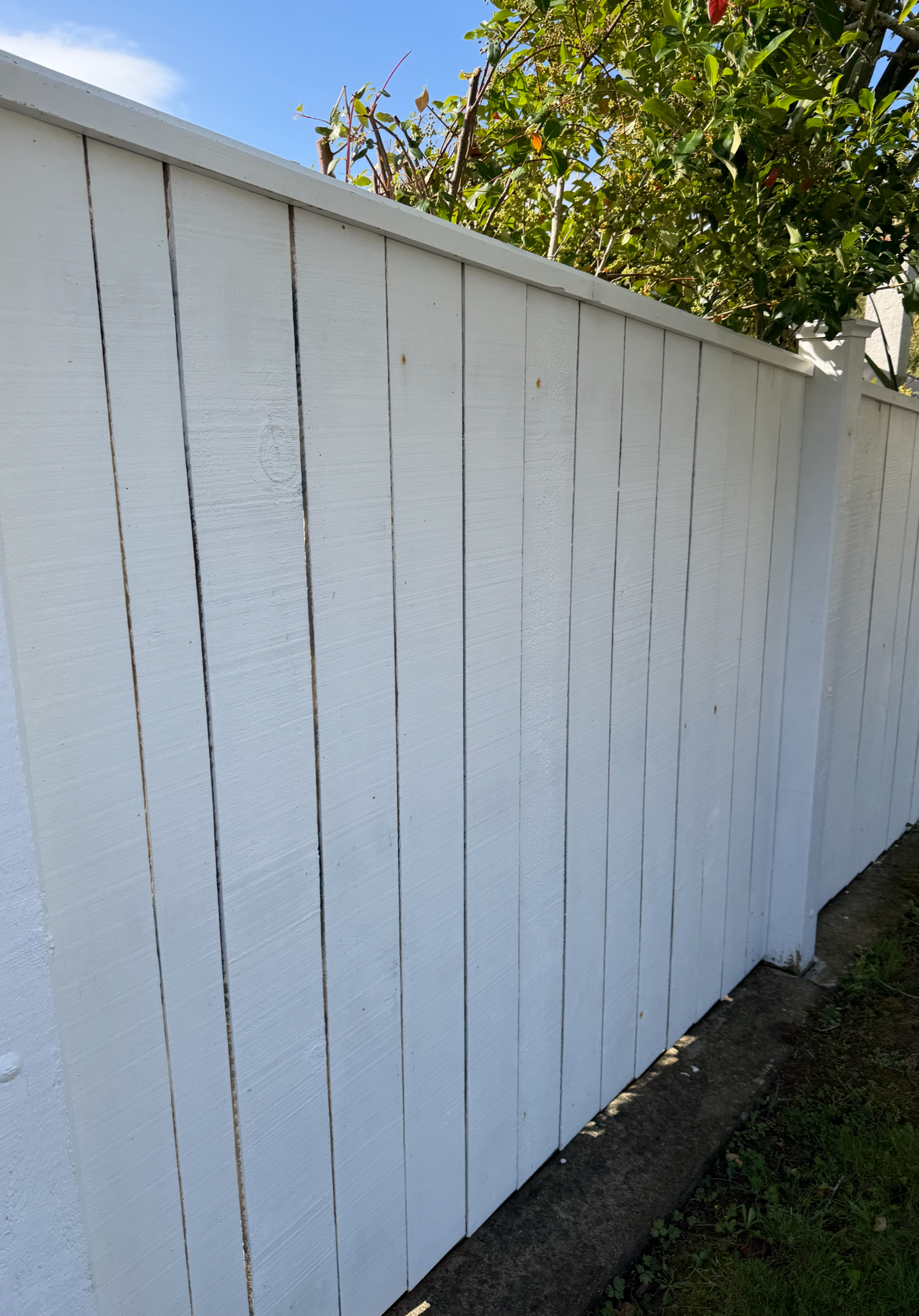 Fresh, clean timber fence after a TrueShine soft wash