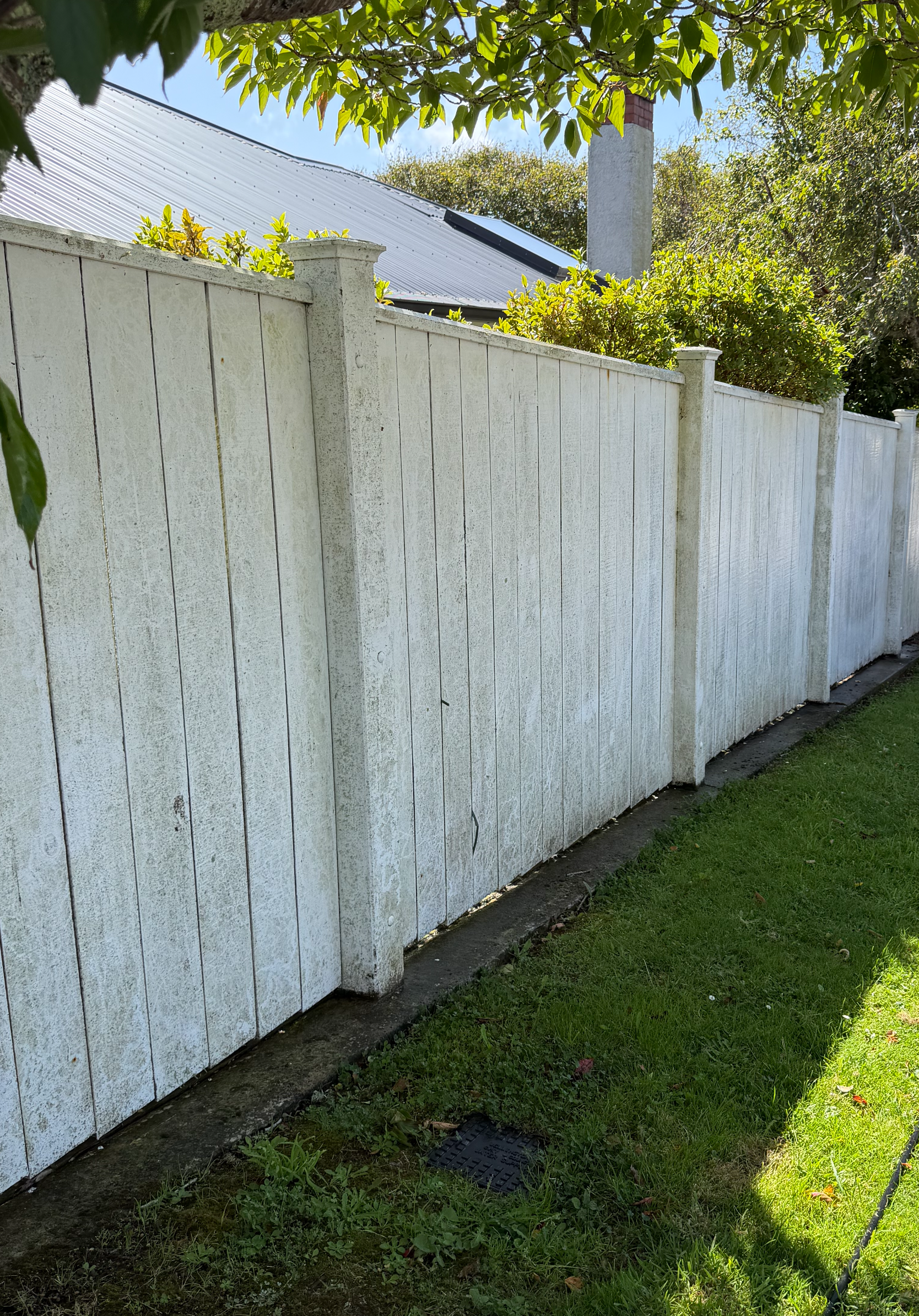 Timber fence with grime and green mould before cleaning