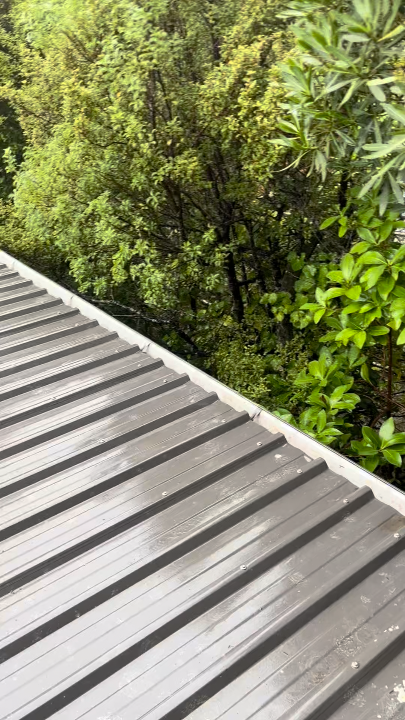Clean, cleared gutter after a TrueShine gutter clean