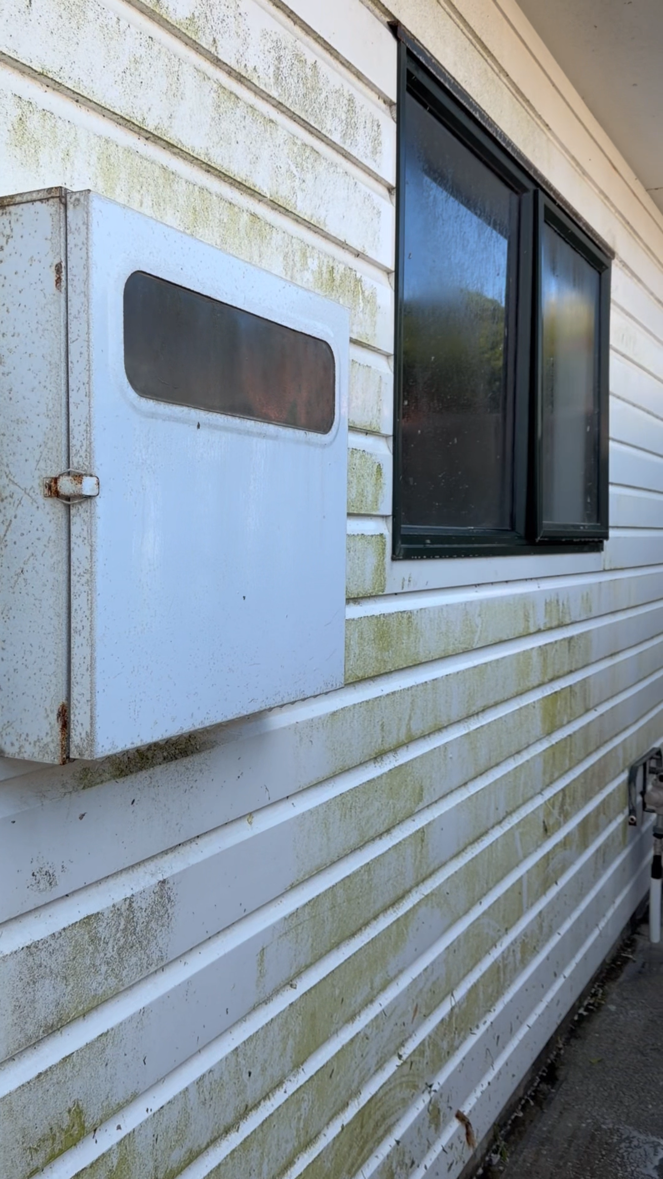 White weatherboard cladding stained with green mould and grime before a house wash